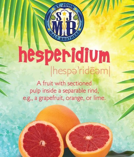 50 Craft Beers of the South Shore: St. John Malt Brothers' Hesperidium